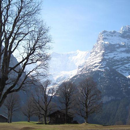 Superior Apartment 100M2 Bodmisonne - Grindelwald Exteriör bild