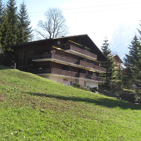 Superior Apartment 100M2 Bodmisonne - Grindelwald Exteriör bild