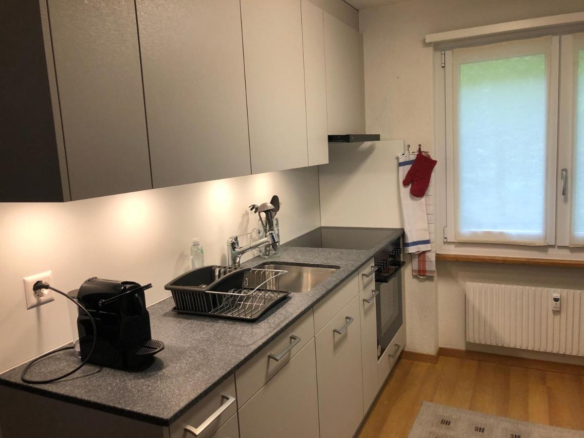 Superior Apartment 100M2 Bodmisonne - Grindelwald Exteriör bild