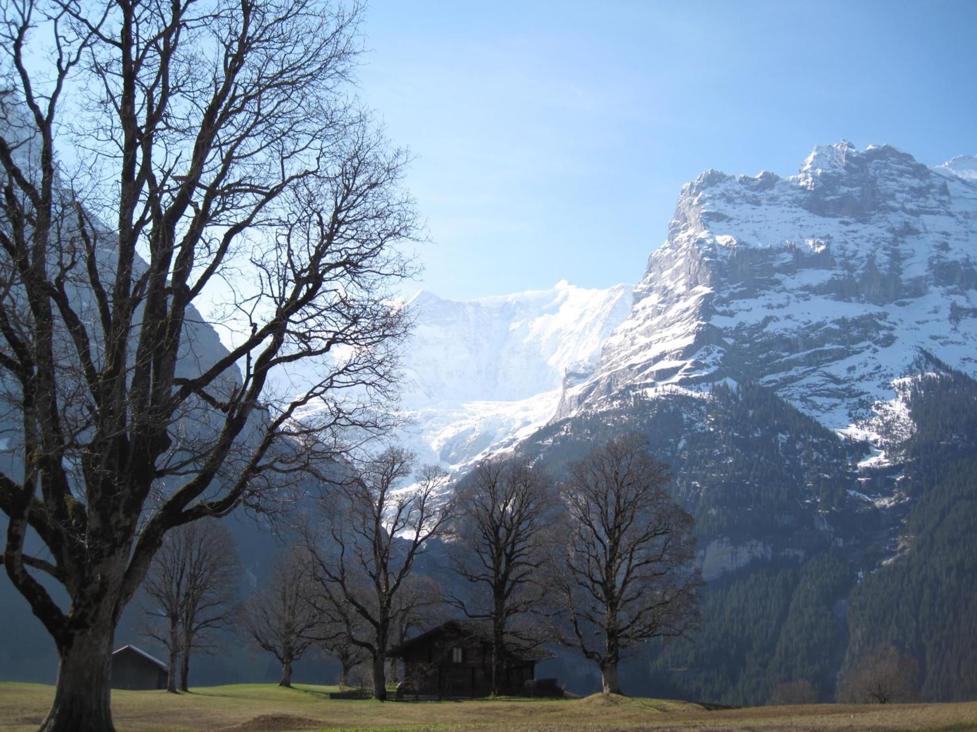 Superior Apartment 100M2 Bodmisonne - Grindelwald Exteriör bild
