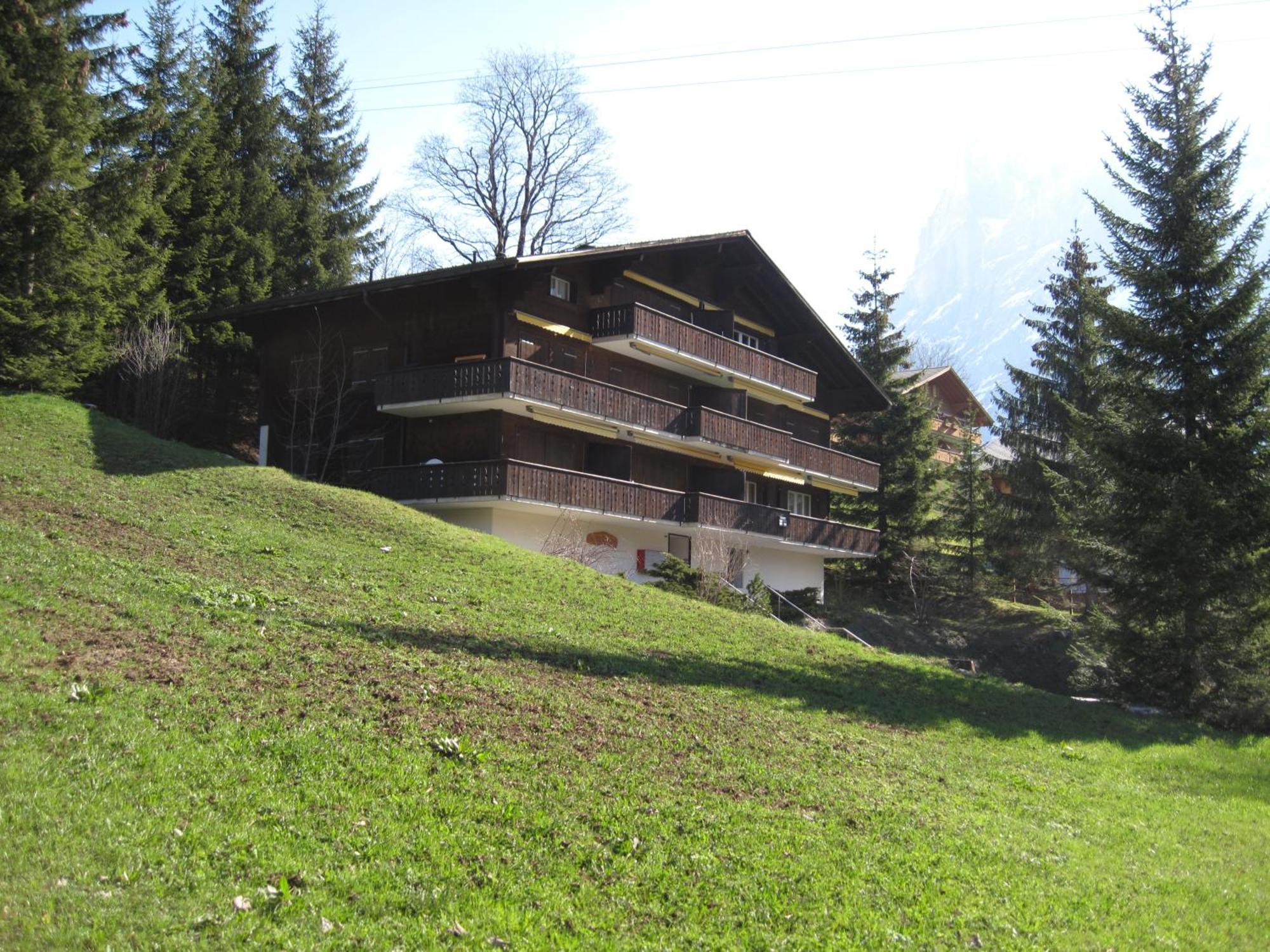 Superior Apartment 100M2 Bodmisonne - Grindelwald Exteriör bild