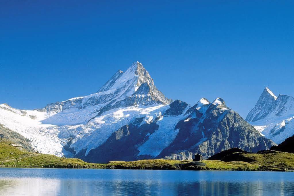 Superior Apartment 100M2 Bodmisonne - Grindelwald Exteriör bild