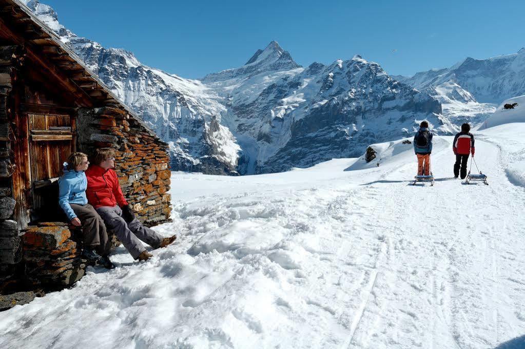 Superior Apartment 100M2 Bodmisonne - Grindelwald Exteriör bild